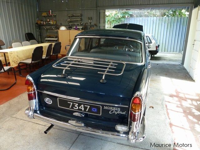 Used Morris Oxford  1969 Oxford for sale  Vacoas Morris 