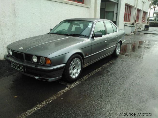 Used BMW e34 530i | 1990 e34 530i for sale | Black River BMW e34 530i ...