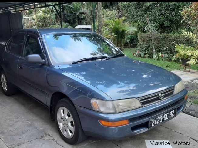 Used Toyota Corolla EE100 | 1992 Corolla EE100 for sale | Camp Caval ...