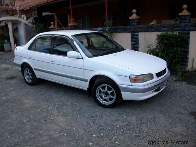 Used Toyota Corolla 