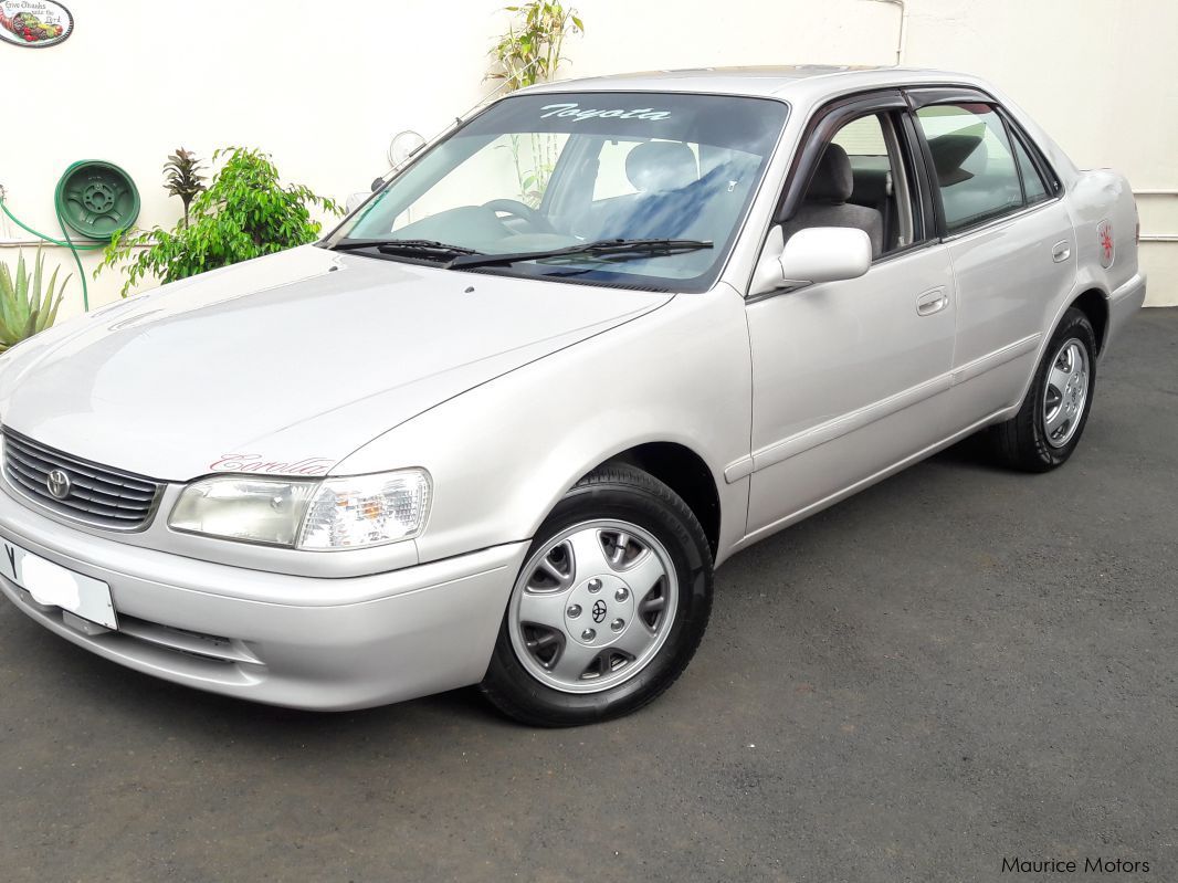 Тойота королла ае110. 1997 Toyota Corolla ae110 se Saloon. Тойота Королла ае 110 в 2000. Тойота Королла 2000 год 110 кузов. Тойота Королла 110 1997.