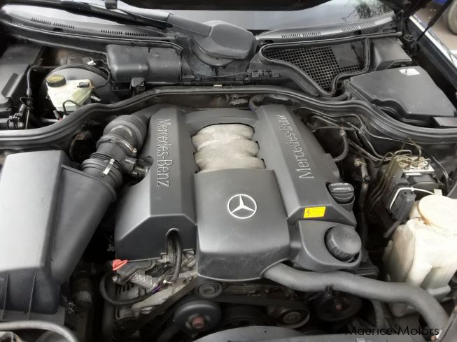 Used Mercedes-Benz E240 | 1998 E240 for sale | Rose Belle Mercedes-Benz ...