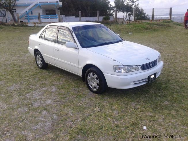 Toyota xe saloon