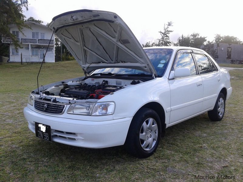 Toyota xe saloon