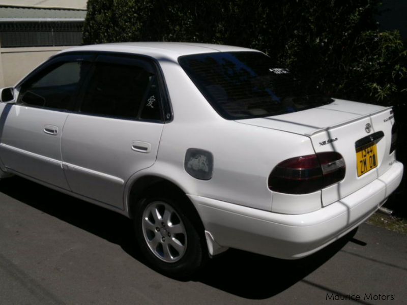 Used Toyota AE 110 COROLLA | 2000 AE 110 COROLLA for sale | glen park ...