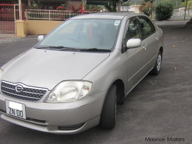 Used Toyota NZE 121 | 2000 NZE 121 for sale | Port louis Toyota NZE 121 ...