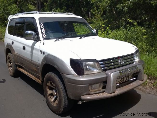 Toyota prado 2000