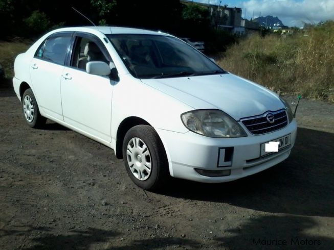 Used Toyota corolla nze | 2001 corolla nze for sale | rhill Toyota ...