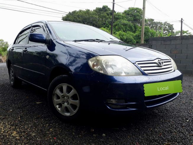 Used Toyota Corolla | 2003 Corolla for sale | Bon Accueil Toyota ...