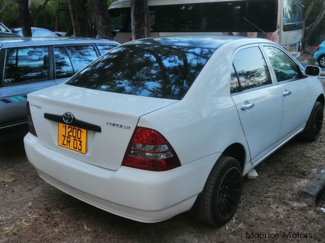 Used Toyota NZE | 2003 NZE for sale | Mont Longue Toyota NZE sales ...