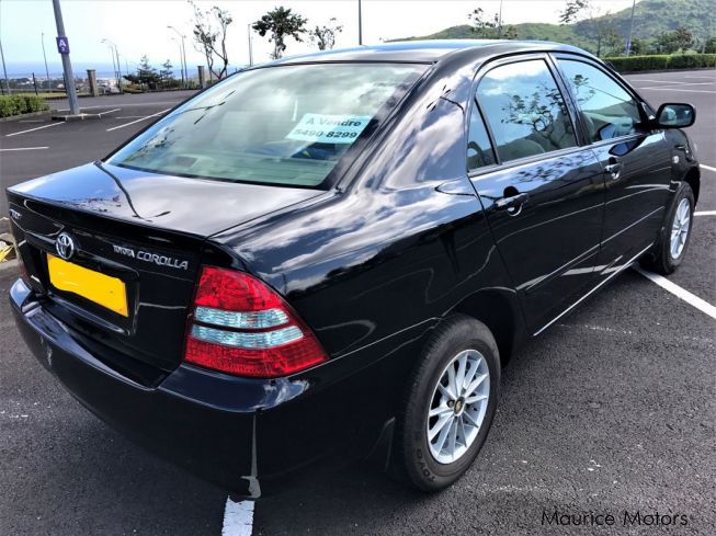 Used Toyota NZE  2004 NZE for sale  Vacoas Toyota NZE 