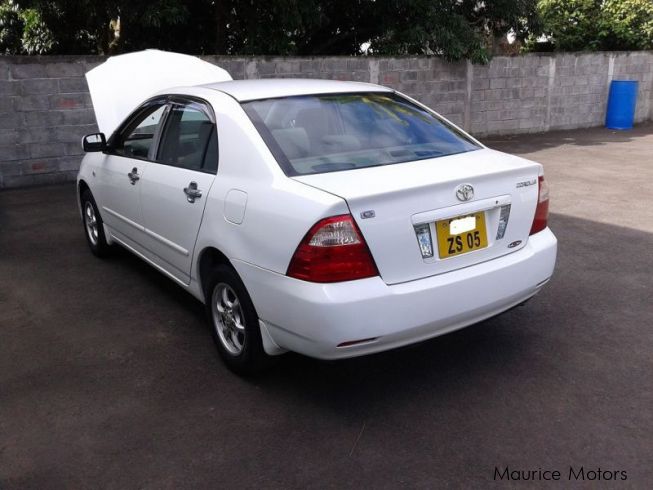 Used Toyota Corolla Nze 121 2005 Corolla Nze 121 For Sale Riviere