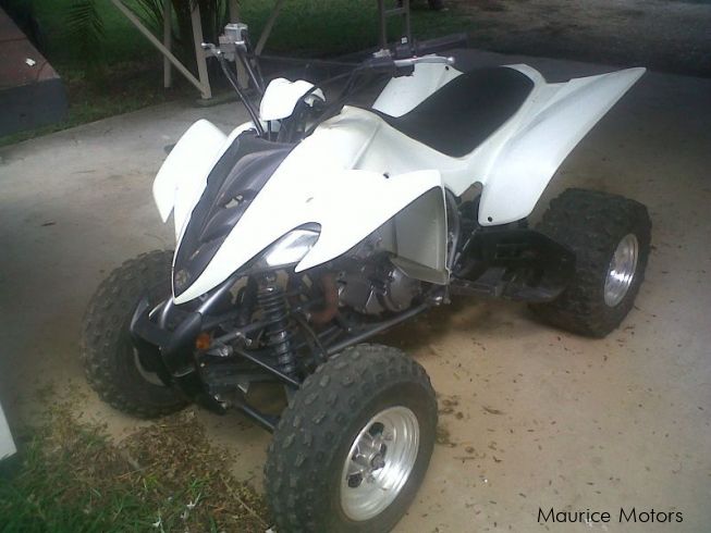 Used Yamaha Raptor 350 | 2006 Raptor 350 for sale | CTR Lane Mesnil ...