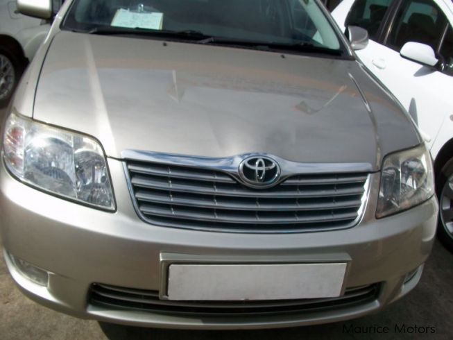 Used Toyota Corolla NZE 121  2007 Corolla NZE 121 for 