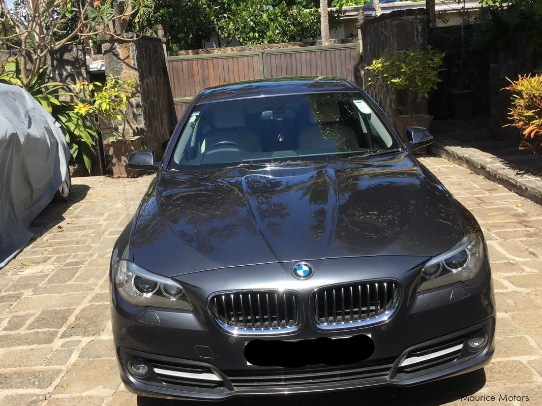 Used BMW 528i | 2016 528i for sale | Goodlands BMW 528i sales | BMW 528i Price Rs 1,625,000 ...