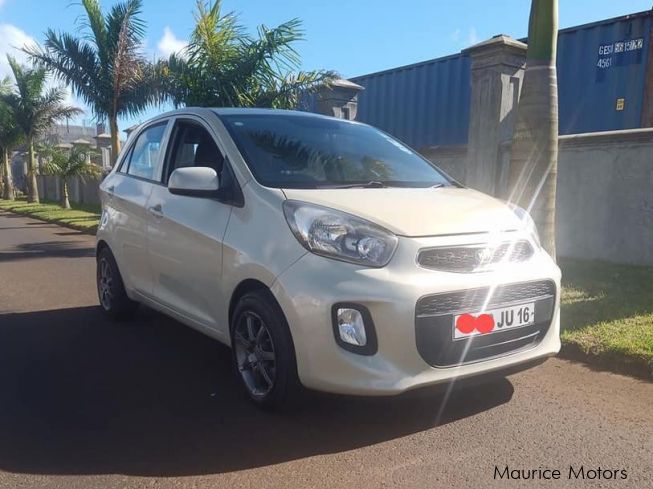 Used Kia Picanto Manual 2016 Picanto Manual For Sale Phoenix