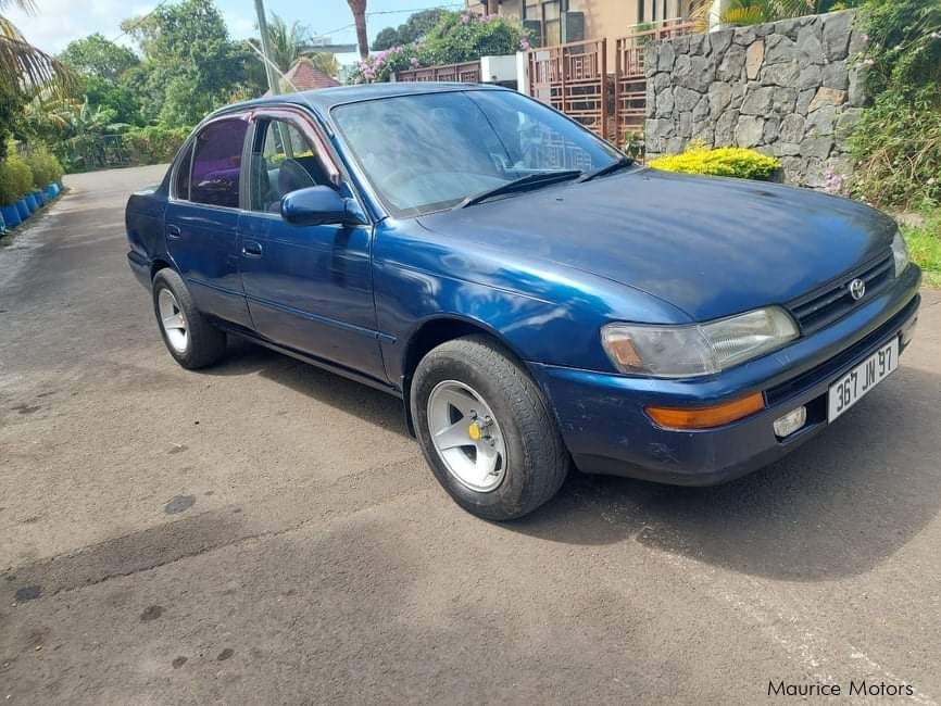 Used Toyota Corolla EE101 | 1997 Corolla EE101 for sale | Bel Air ...