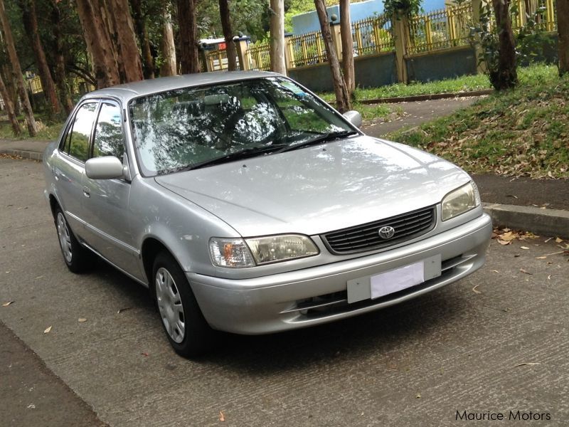 Used Toyota Corolla EE111 | 2000 Corolla EE111 for sale | St Paul ...