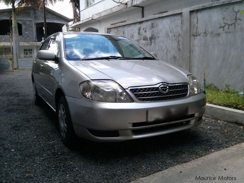 Corolla nze 121. Тойота Королла zze121. Королла 121. Toyota Corolla 121 кузов.