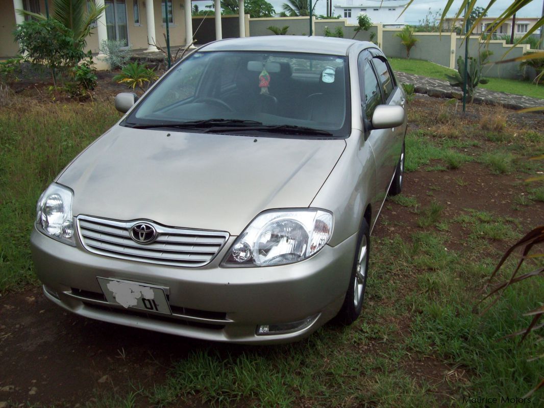 Toyota 2001 года. Toyota Corolla 2001. Тойота Corolla 2001. Тойота Королла 2001. Тойота Королла 2001 седан.