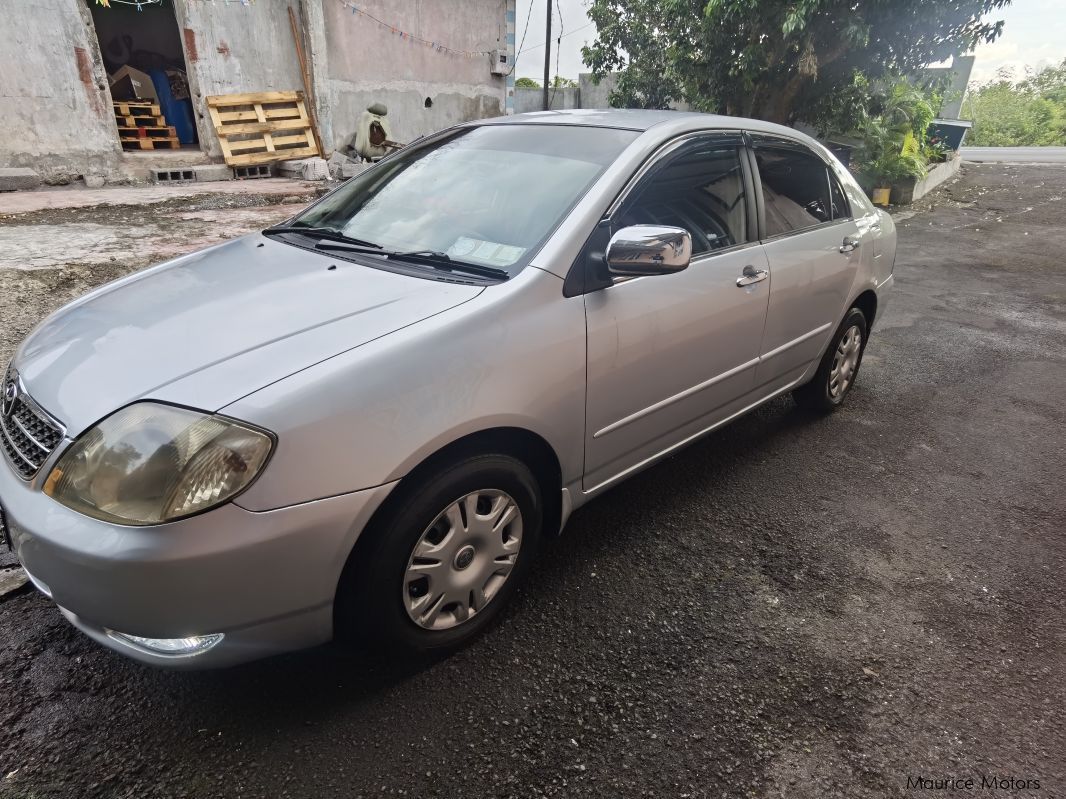 Used Toyota Corolla Nze 