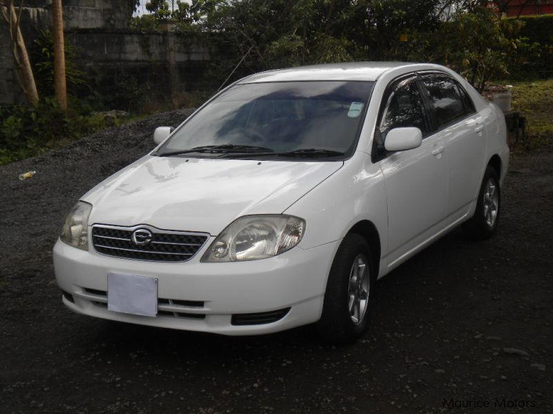 Тойота королла 121. Toyota Corolla nze121 2001. Toyota Corolla 121. Тойота Королла 121 кузов. Toyota Corolla 121 2001.