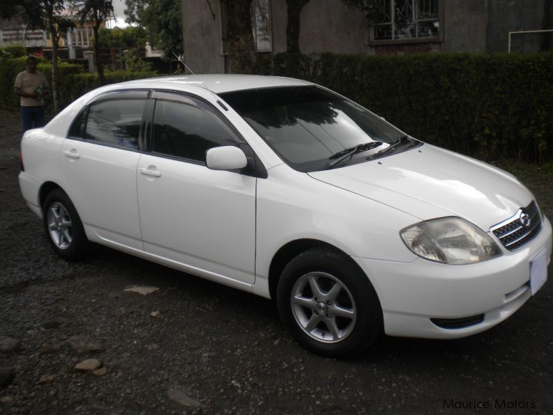 Corolla nze121