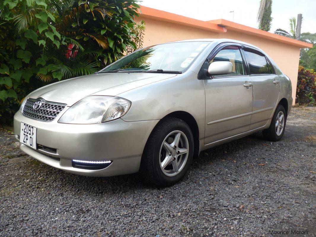 Королла 2001 года. Toyota Corolla 2001. Тойота Королла 2001. Тойота Королла 2001 седан. Тойота Corolla 2001.