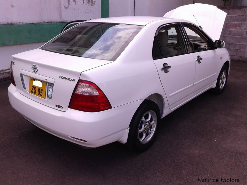 Corolla nze 121. Тойота Королла 121. Toyota Corolla 121 кузов. Королла 121 кузов. Тойота Королла 121 2005.