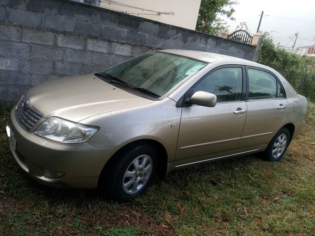 Тойота королла nze 121. Тойота Королла 121. Toyota Corolla nze121. Королла 121 кузов. Toyota Corolla 121 кузов.