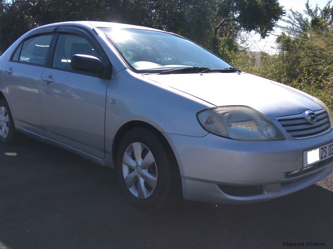 Used Citroen C5  2008 C5 for sale  Terre Rouge Citroen 