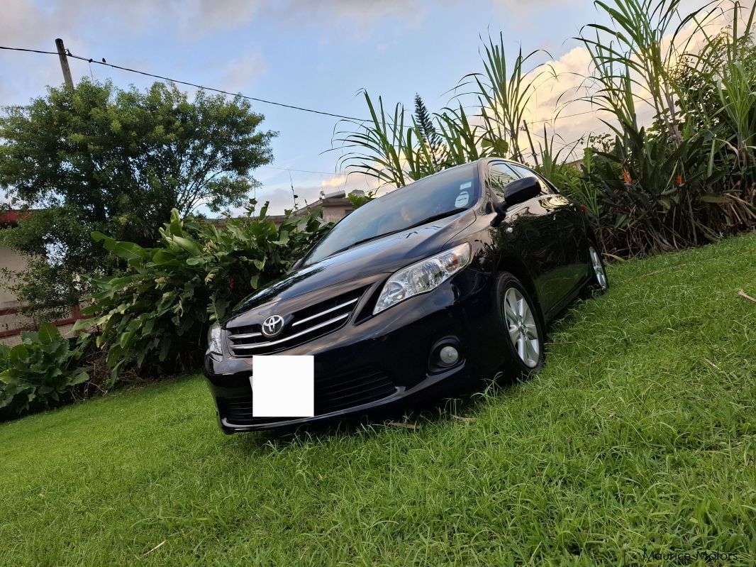 Toyota Corolla in Mauritius