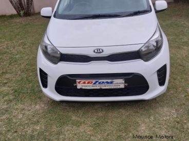 Pre-owned Kia Picanto for sale in 
