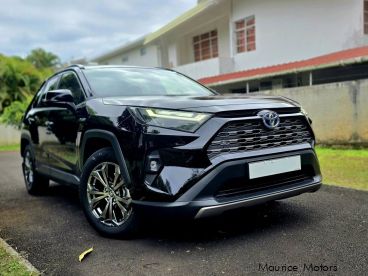 Pre-owned Toyota Rav4 for sale in 