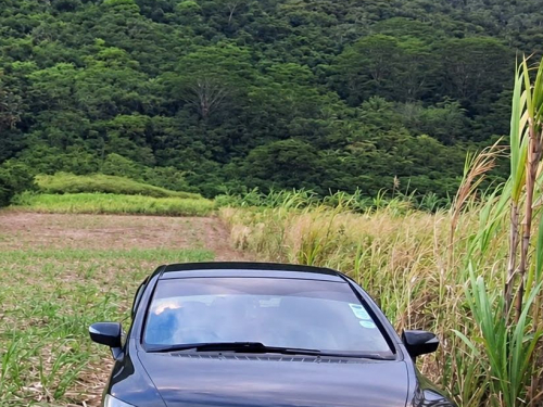 Honda Civic FD1 in Mauritius